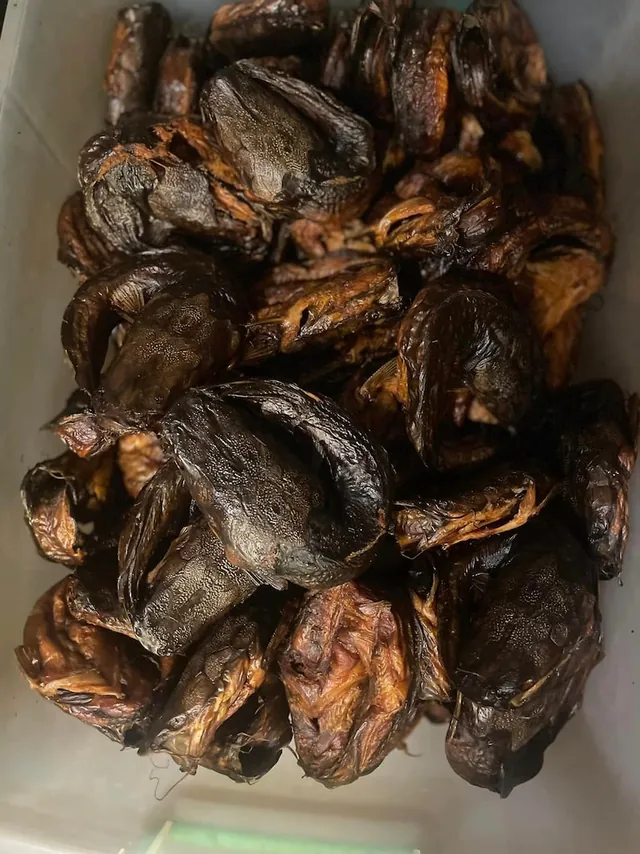 Nigeria Dry/Smoked Fish in GB