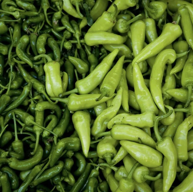 Green Chilli & Bullet Chillies Jalapeño Peppers in GH