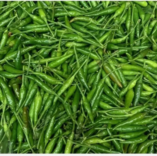 HOT CHILLIES PEPPERS FRESH BIRDS EYE GREEN PEPPER 500g in GH